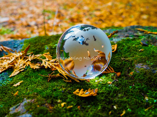 glass globe on a mossy rock with yellow fall foliage in the background